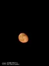 IMG_20241020_193108.webp
