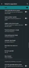 Screenshot_20241116-190827_Trebuchet.webp