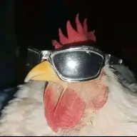 Jora