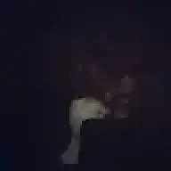 Rozoroa