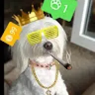 altugg5