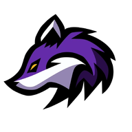 aranjoremir