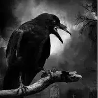 Blackraven