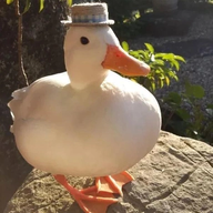 Egel