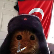 Mert Can DURSUN