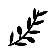 zeytindali_2026