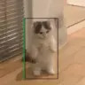 Wie