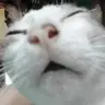 Just