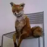 likeslice