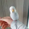 Norgathor