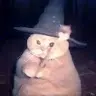 cucusmaymun
