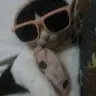 Alanyali