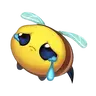 muci