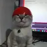 mefosane