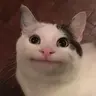 Colonell