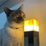 dufiwn