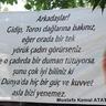 LegendTurkSeLo33