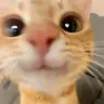 klaizee