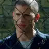 MScofield