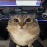 Dazti