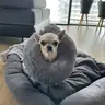 RosaByte