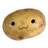 Stady_Adam