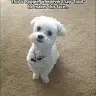 FrosterMG