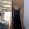 Odin