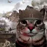 kitexe