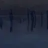 yusufasf