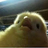 Omarloth6