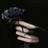 Baran_4