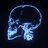 XRAY81