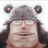 the_saliks