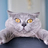 Agah_1