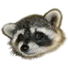 Mypal Browser