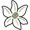 Azahar
