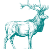 tealdeer