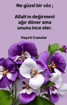 039ebf91575b37e1ab11e9362162f29e.webp