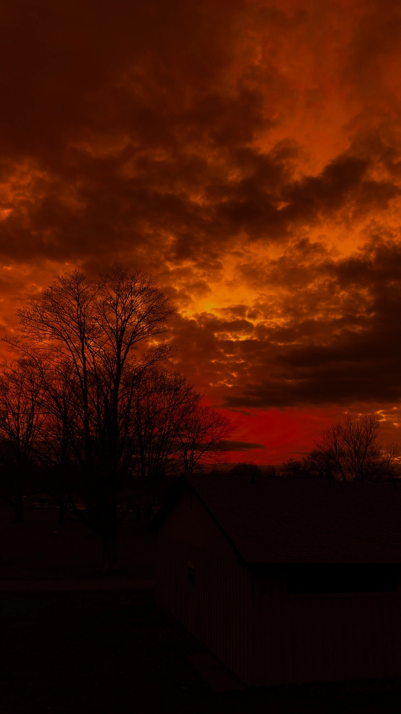 073D7DE5-0D40-4EEB-A76A-CF72283B4325.webp