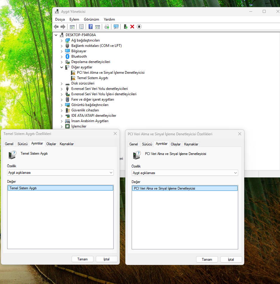 1.webp