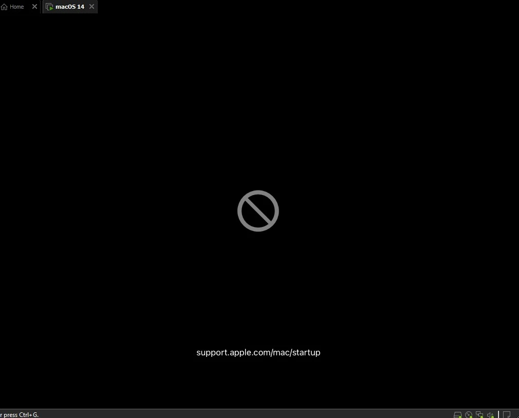 1.webp