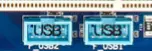 1000.webp