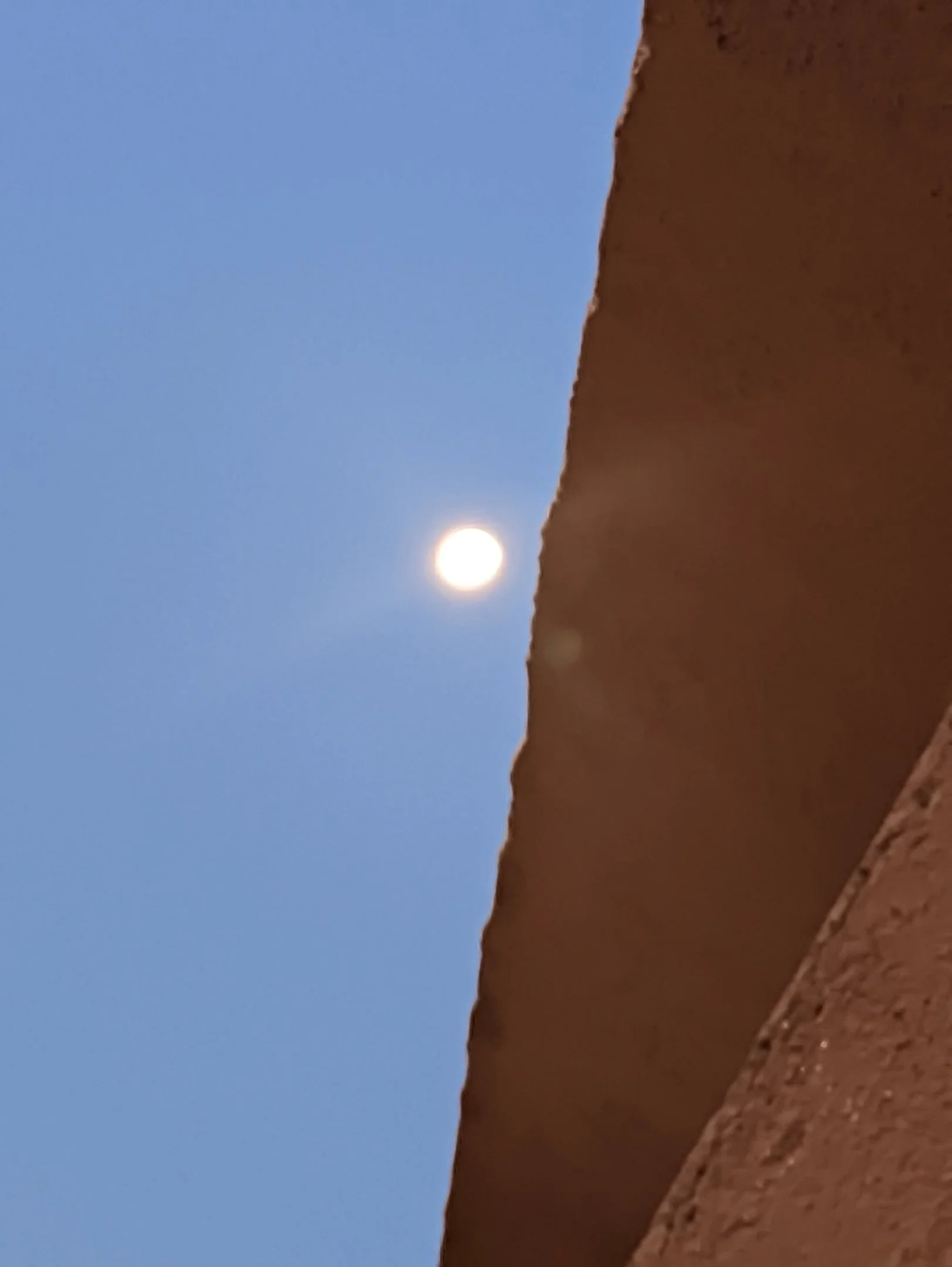 1000001480.webp