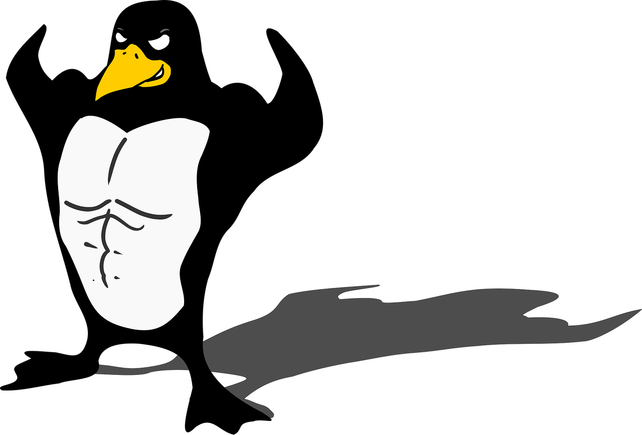 1000011070.webp