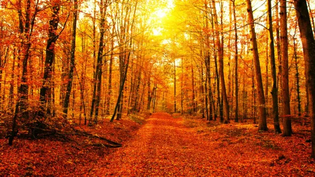 1000013568.webp