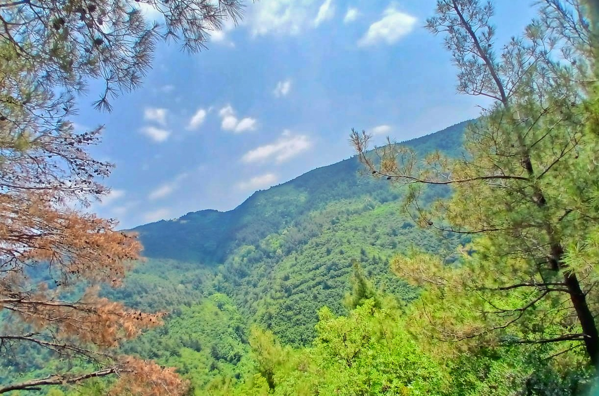 1000020647.webp