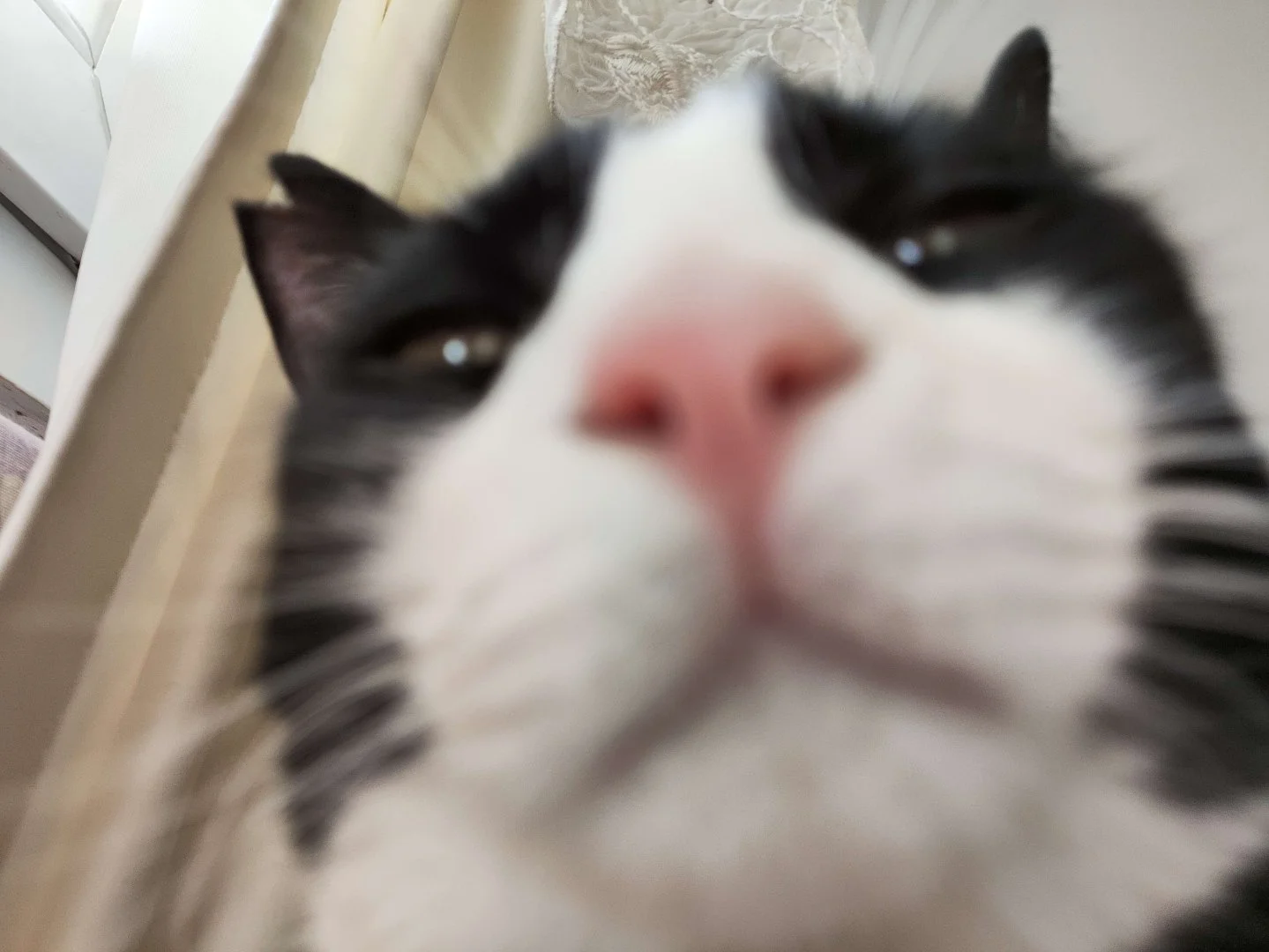 1000022790.webp