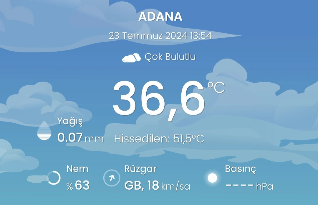 1000029118.webp