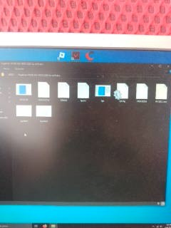 1000038798.webp